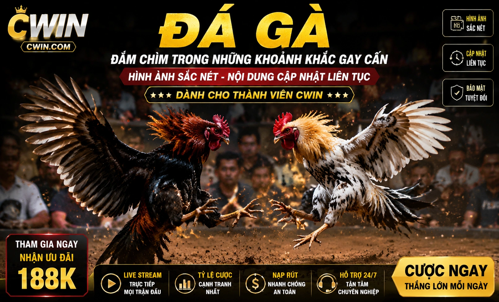 Phòng live Đá Gà CWIN 3